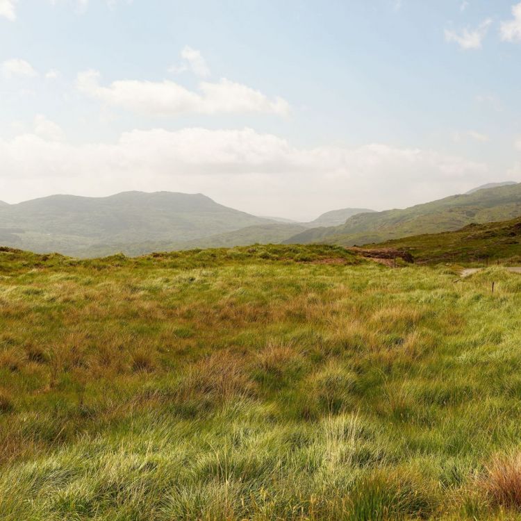 De mythe van the attendance Hero