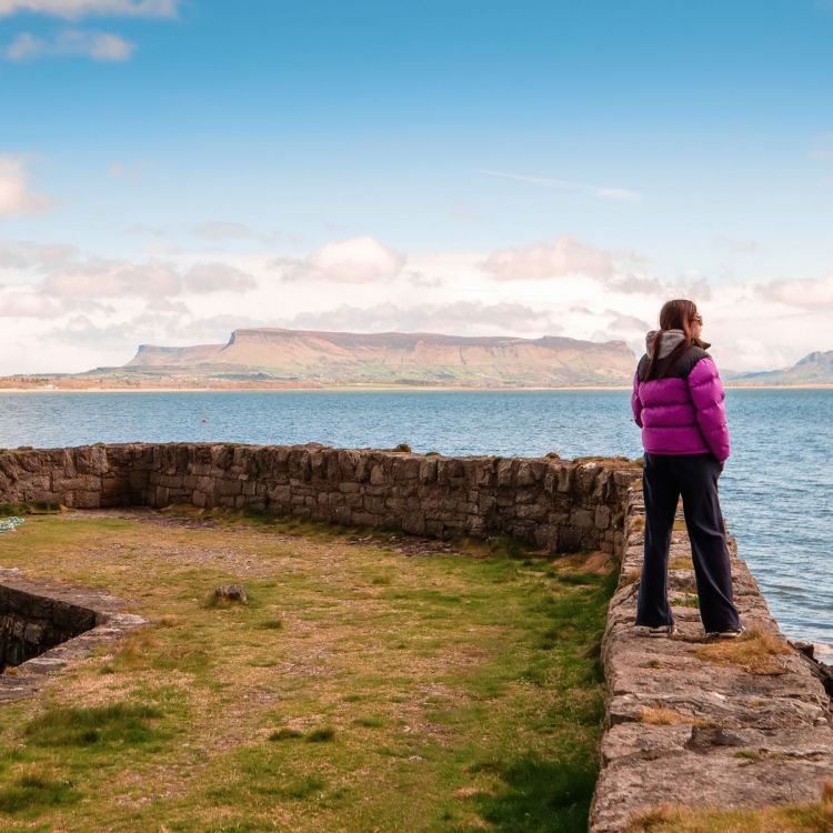 De shamrock van Mijke en de andere druïden