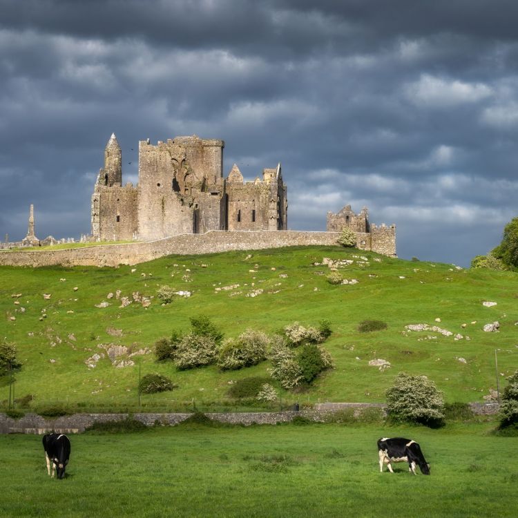 De Vlam van Cuan na Gréine