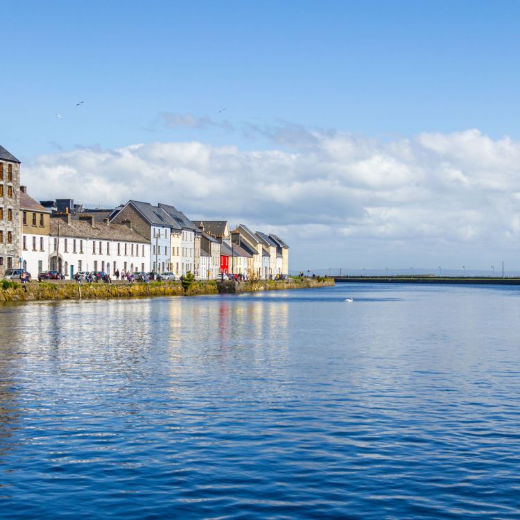 Het verhaal van de nieuwkomer