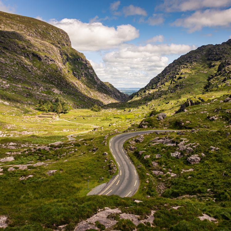 Molly Malone (eigen versie)